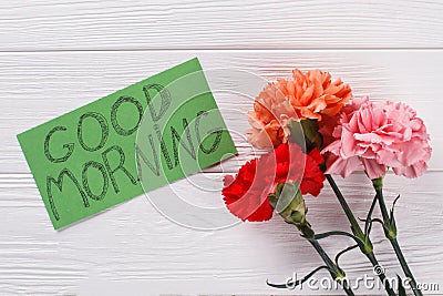 Good morning wish note and colorful carnation flowers. Stock Photo