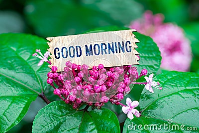 Good morning in wooden card Stock Photo