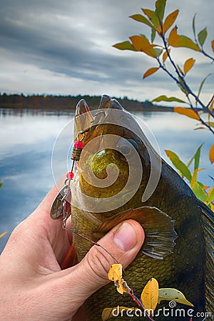 Good spining fishing on Northern rivers. Stock Photo