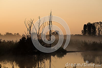 Goog mornong, sun! Stock Photo