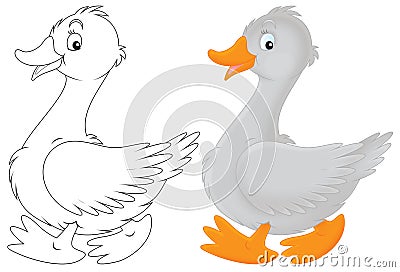 Goose Cartoon Illustration