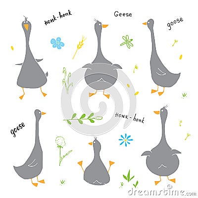 Goose Doodles Set. Cute Geese sketch. Hand drawn Cartoon Vector illustration on white background Vector Illustration