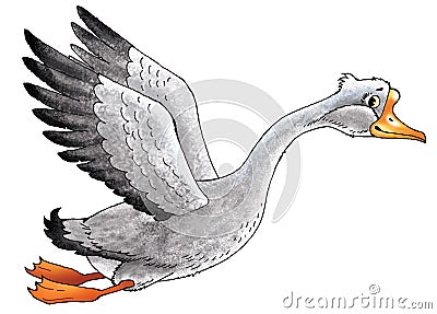 goose drawing bird beak flies Stock Photo