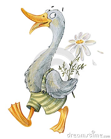 Goose in shorts with a flower Stock Photo
