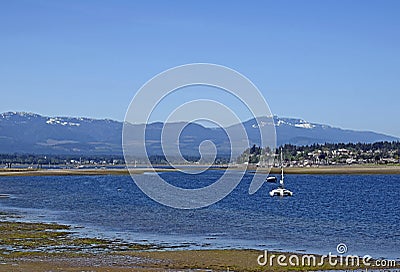 Goose Spit Park sailboat in the lagoon Stock Photo