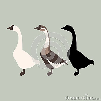 goose vector illustration style Flat silhouette Vector Illustration