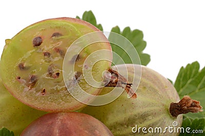 Gooseberries Stock Photo