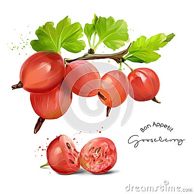 Gooseberries and splashes of watercolor painting Stock Photo