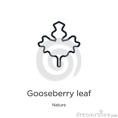 Gooseberry leaf icon. Thin linear gooseberry leaf outline icon isolated on white background from nature collection. Line vector Vector Illustration