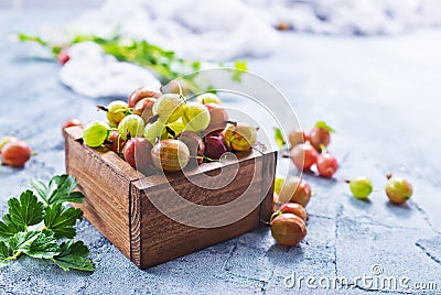 Gooseberry Stock Photo