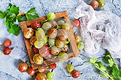 Gooseberry Stock Photo