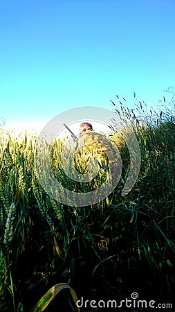 Goosehunting Editorial Stock Photo