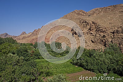 Gorge du Dades Stock Photo