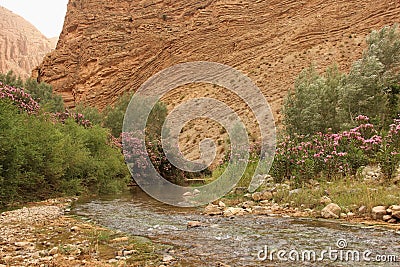 Gorge du Dades Stock Photo