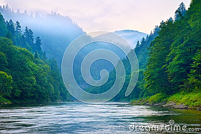 The gorge of mountain river in the morning Stock Photo