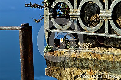 Gorge of nesso on lake como in italy - flower in the rock Stock Photo