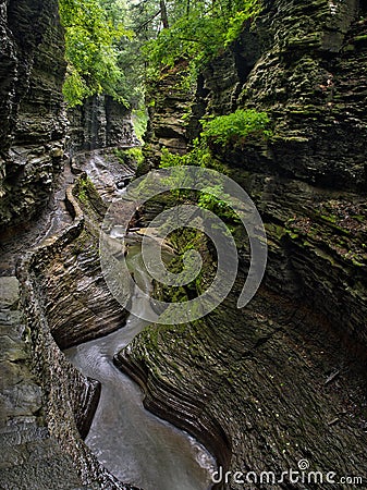 The Gorge Trail in Watkins Glen State Park Stock Photo