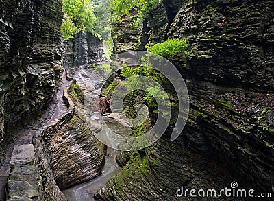 The Gorge Trail in Watkins Glen State Park Stock Photo