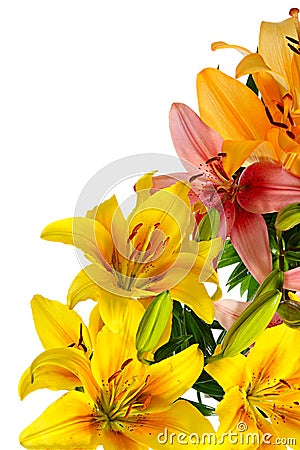 Gorgeous bouquet Stock Photo