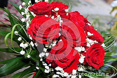 Gorgeous bouquet of red roses Stock Photo