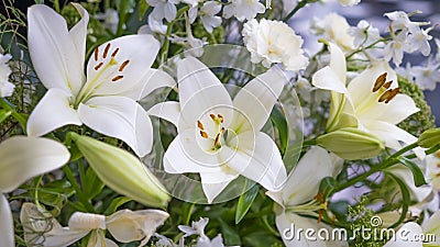 Gorgeous bouquet of white lilies and carnations flowers. Stock Photo