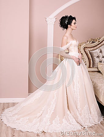 Gorgeous bride with dark hair in luxuious wedding dress Stock Photo