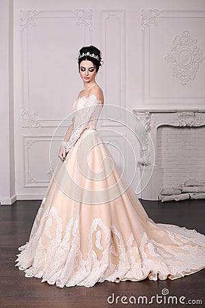 Gorgeous bride with dark hair in luxuious wedding dress Stock Photo