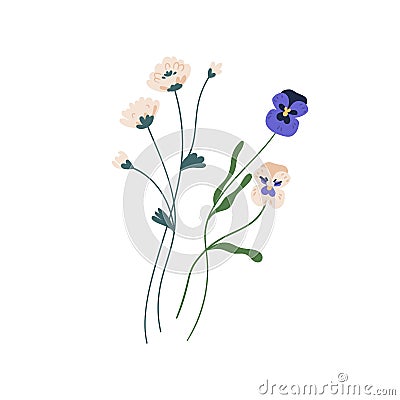 Gorgeous bunch of blossomed wildflowers like pansies and clovers. Delicate wild flowers isolated on white background Vector Illustration