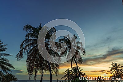 Gorgeous colorful view of sunset on Curacao island. Gorgeous view of green palm trees on blue sky background. Stock Photo