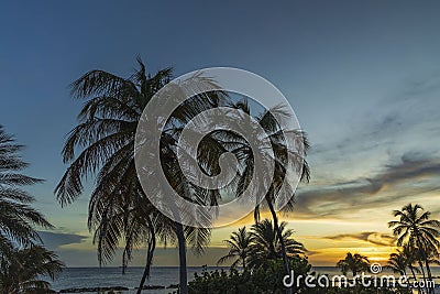 Gorgeous colorful view of sunset on Curacao island. Gorgeous view of green palm trees on blue sky background. Stock Photo