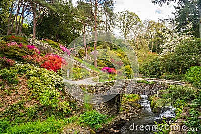 Azaleas and Rhododendron trees surround stream in spring Stock Photo