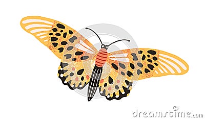 Gorgeous elegant butterfly with bright yellow wings and antennae isolated on white background. Colored beautiful flying Cartoon Illustration