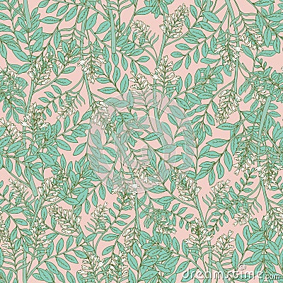 Gorgeous floral seamless pattern with acacia inflorescences and leaves. Tender blooming white flowers on pink background Vector Illustration