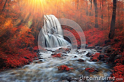 gorgeous forest in autumn, a scenic landscape with pleasant warm sunshine. AI generate AI Stock Photo