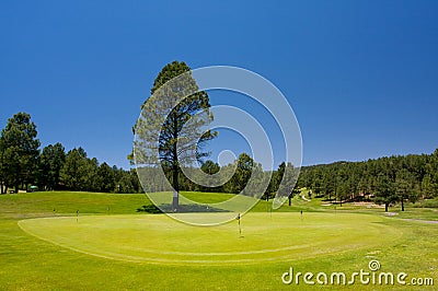 Gorgeous golf course in Arizona Stock Photo