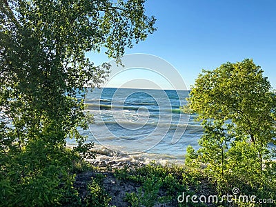 Green trees and waves by lake Stock Photo