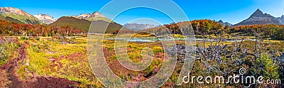 Gorgeous landscape of Patagonia`s Tierra del Fuego National Park in Autumn Stock Photo