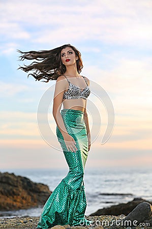 Gorgeous mermaid Stock Photo
