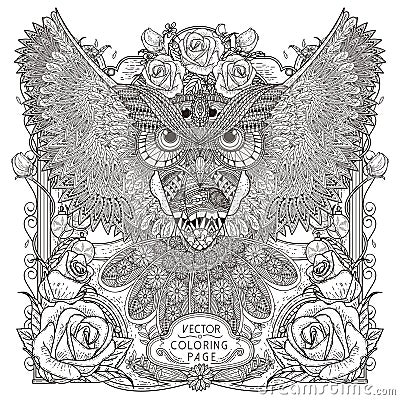 Gorgeous owl coloring page Vector Illustration