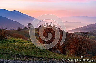 Gorgeous purple dawn in mountains Stock Photo