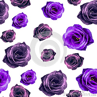 Gorgeous seamless floral blossom pattern rose. Isolated rose buds on a white background Stock Photo
