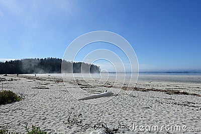 A gorgeous seascape view of the sandy beaches of Cape Scott Provincial Park, Vancouver Island, British Columbia, Canada. Stock Photo