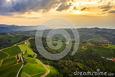 Gorgeous sunset over beautiful green vineyards. Aerial shoot of grape hills in summer Stock Photo
