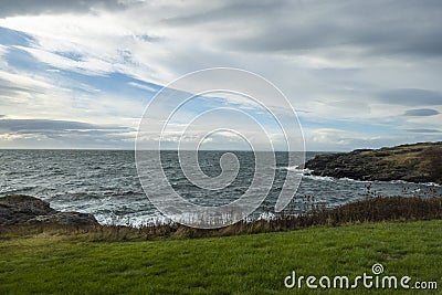 Gorgeous view of the grassy coastline on San Juan Island on a bright, sunny day with puffy white clouds Editorial Stock Photo