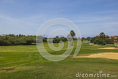 Gorgeous view of green grass golf field on background blue sky on Aruba island. Stock Photo