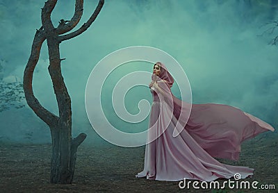 Gorgeous young elf princess with blond hair, dressed in an expensive luxurious long gentle pink dress, holding a light Stock Photo