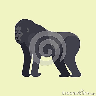 Gorila monkey rare animal vector cartoon macaque nature primate character wild zoo ape chimpanzee Vector Illustration