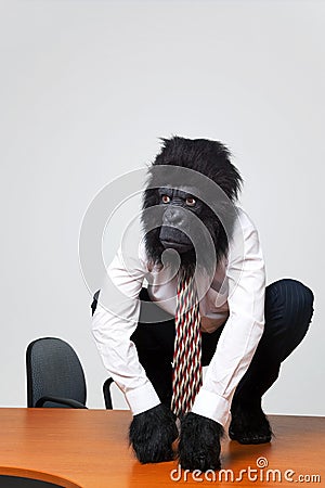 Gorilla businessman in shirt and tie sat on a desk Stock Photo