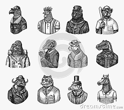 Gorilla monkey astronaut. Eagle aviator pilot Rooster Dinosaur Pig Tiger Bear Sheep Buffalo Bull Horse Cheetah. Dog Vector Illustration