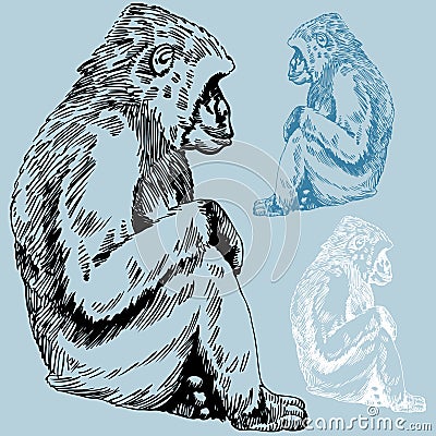 Gorilla / Monkey Sketch Vector Illustration